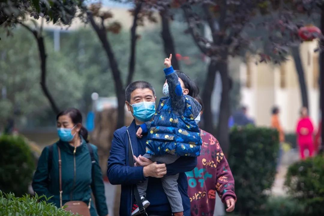 莲湖区晚上哪里可以散步,莲湖晨练