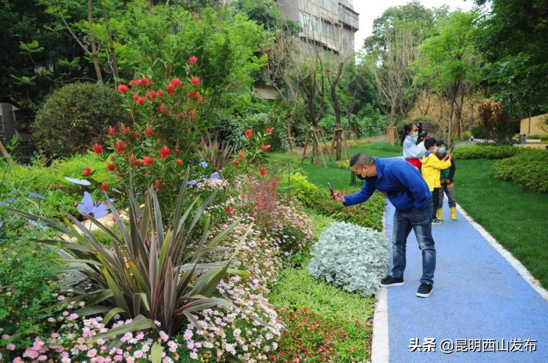 40万盆鲜花扮靓城区迎节,6万盆花扮靓街头迎五一