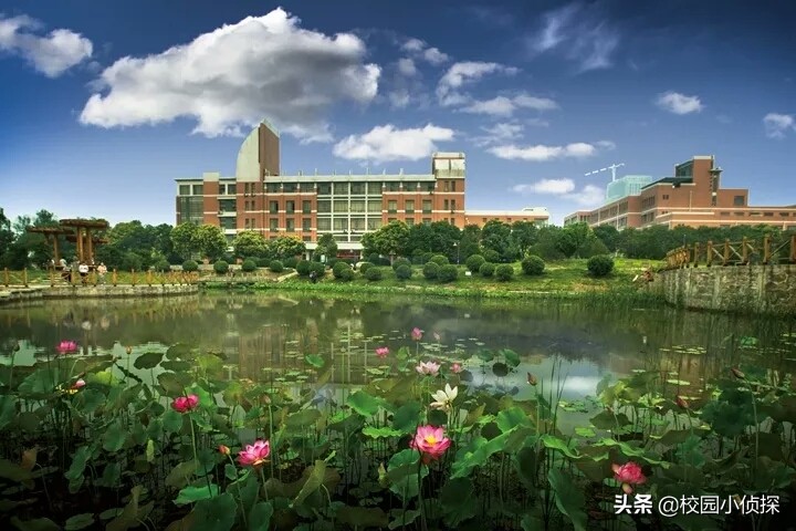 河南开放大学校园风景,河南大学校园风景园林