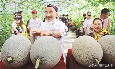 不能错过的*疆新**水果（一）