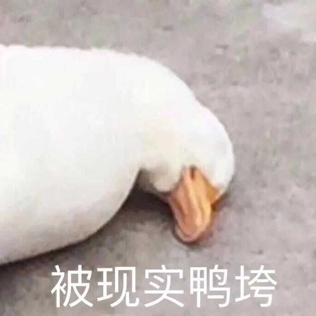 往年高价月饼,最正宗的香港月饼