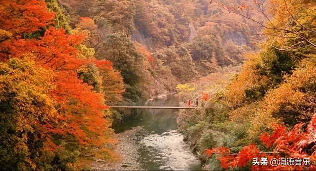 豆瓣分10分的电影,豆瓣9.0以上的电影深度解说