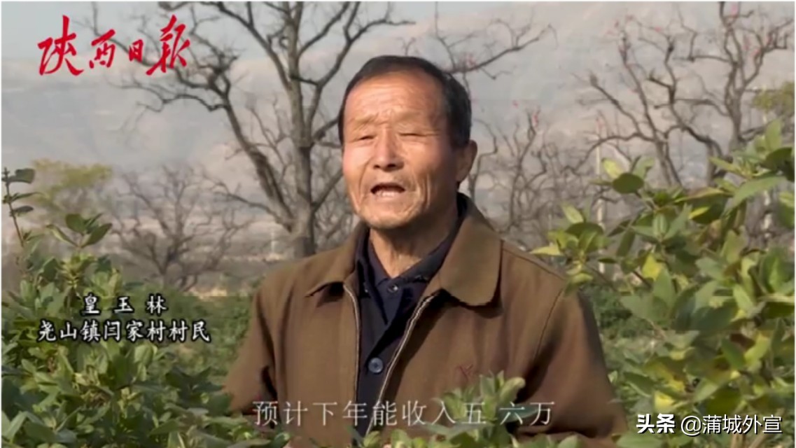 王春颜：“能给村上找个致富产业，也不枉在世上走一回