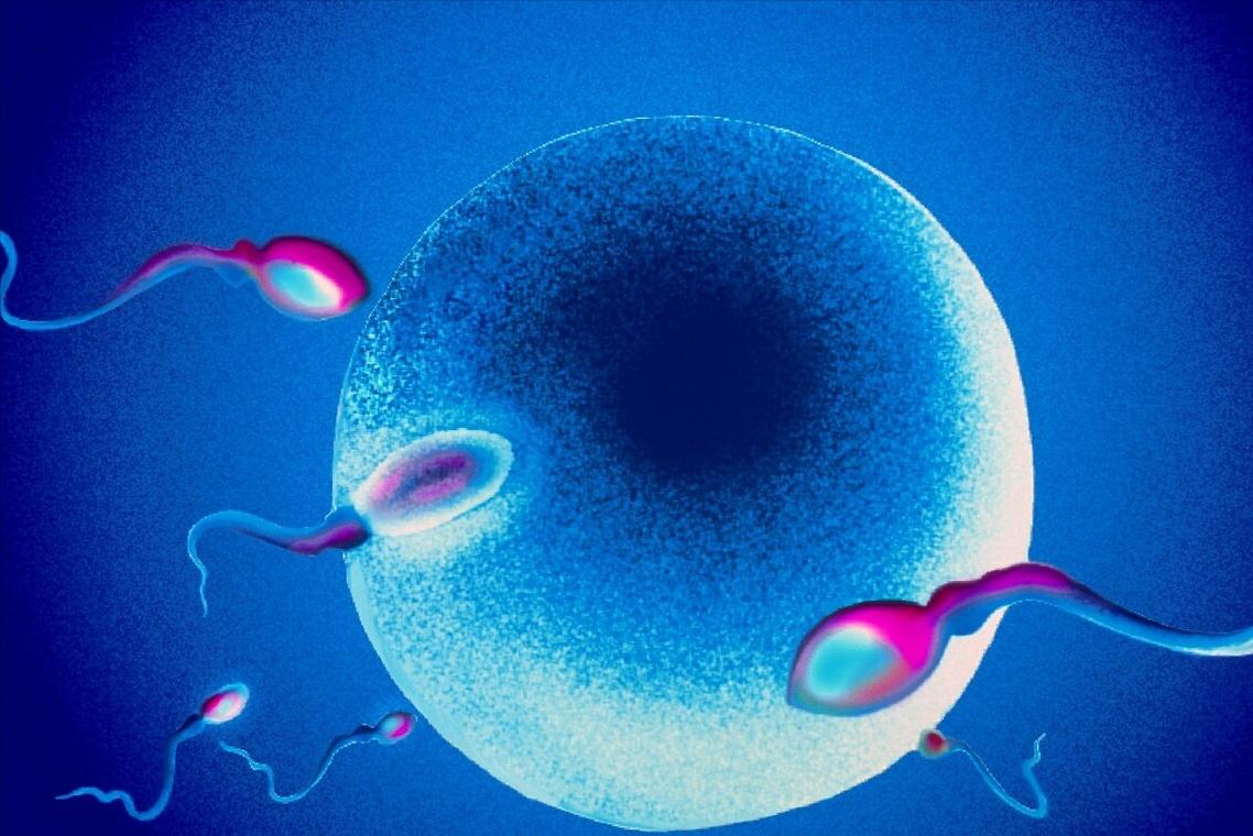 排卵功能差是不是就不孕,卵子发育不好就排卵了怎么治疗