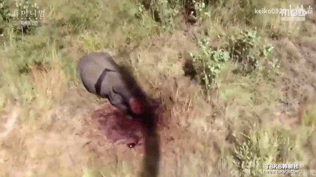 15岁怀孕，她被骗吃下*药炸**，一尸两命：有些人，这辈子不配为人