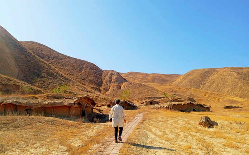 戈壁明珠石河子,石河子屯垦戍边的故事