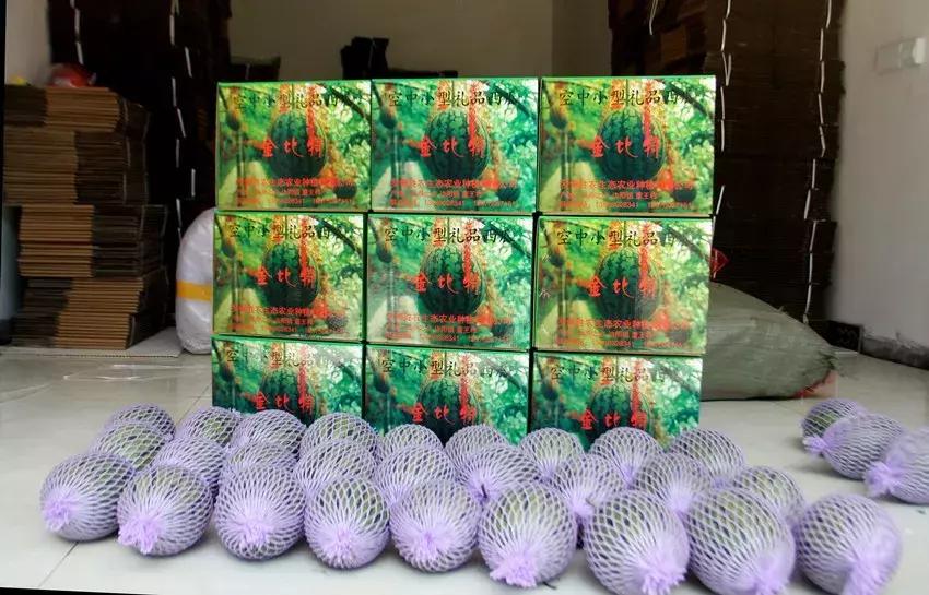 黔南露天西瓜,黔南西瓜