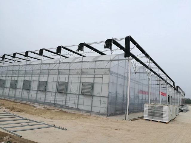 简易薄膜连栋温室大棚建造全过程,连栋薄膜连体温室大棚大全