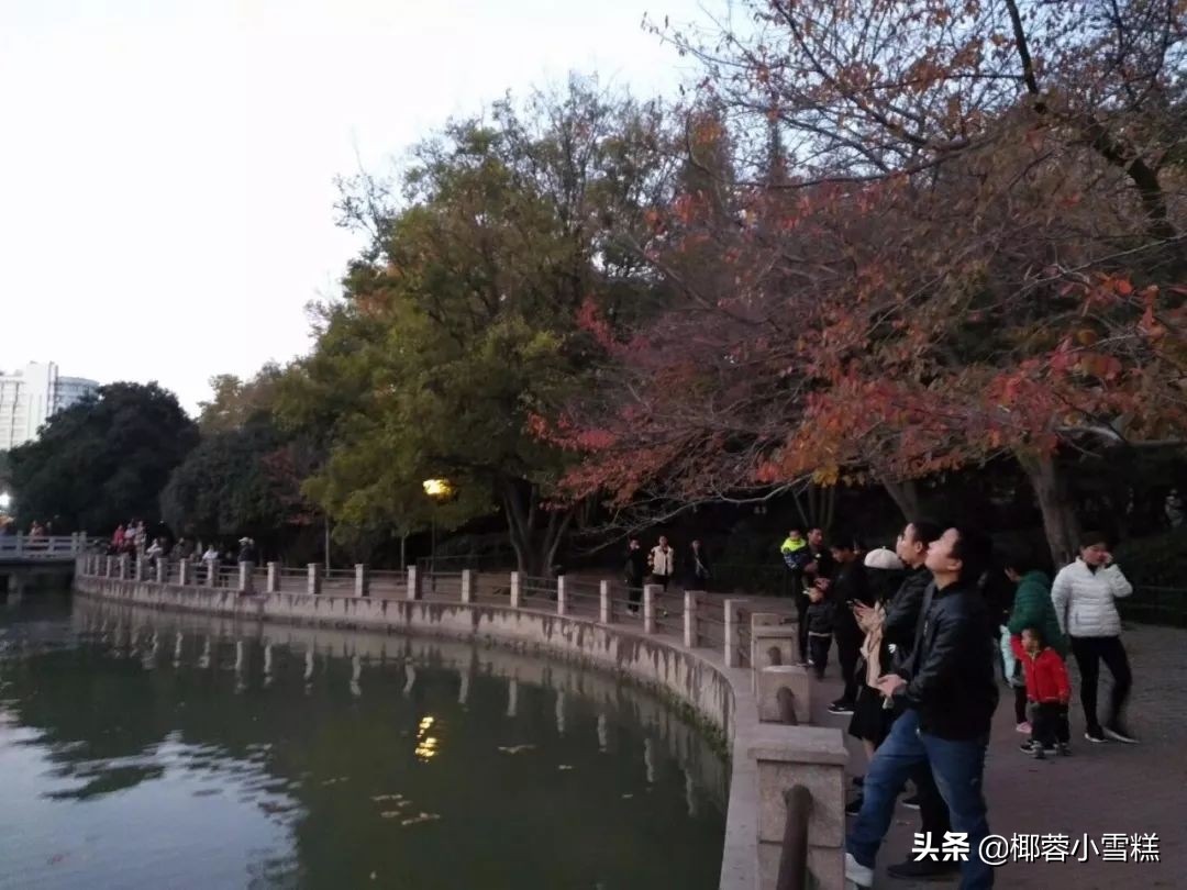 郑州适合晨跑的地方,郑州晨跑圣地