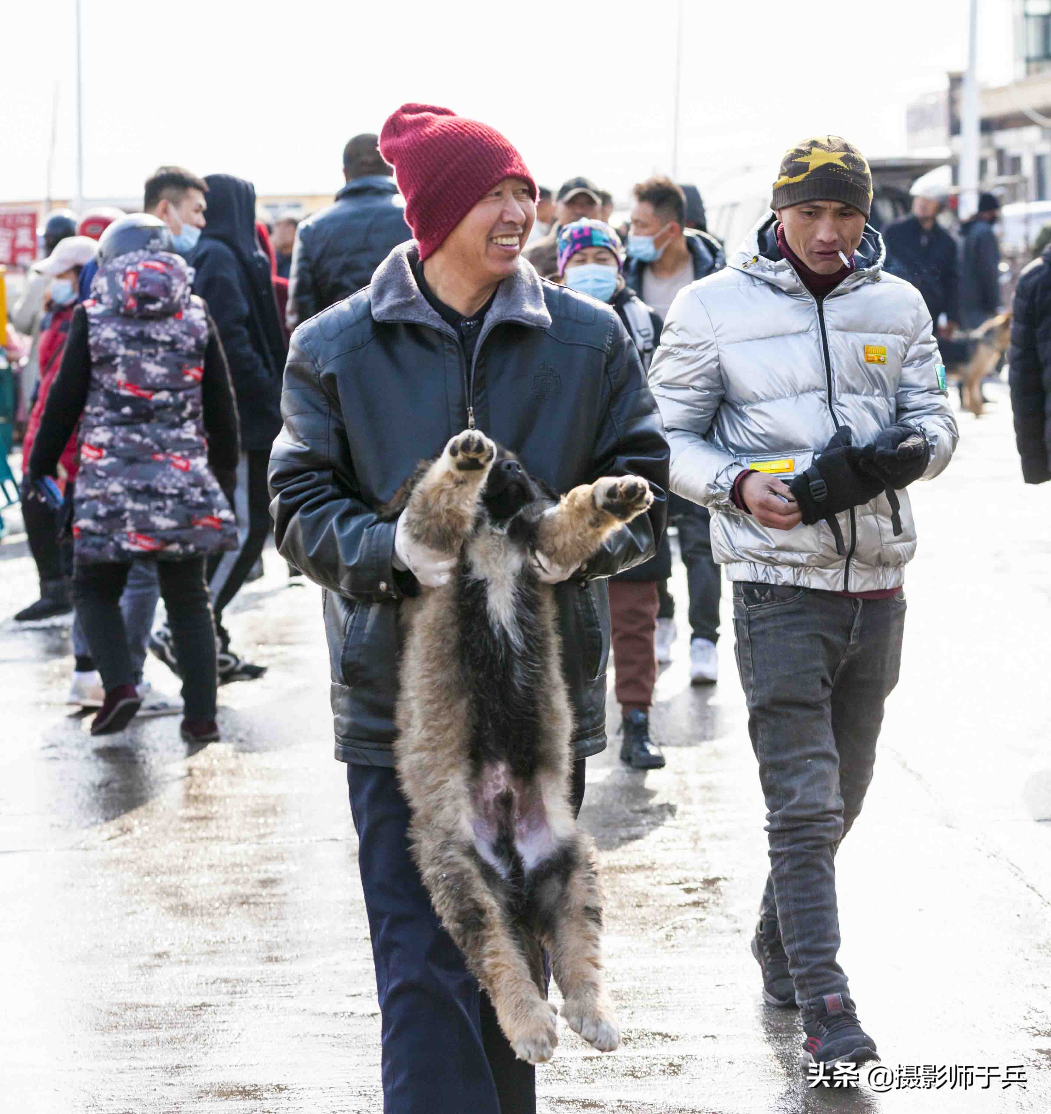 绥化安达狗市,黑龙江省绥化故事之一