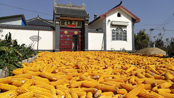 一网情深逐梦小康——记甘肃广电网络公司精准扶贫之路