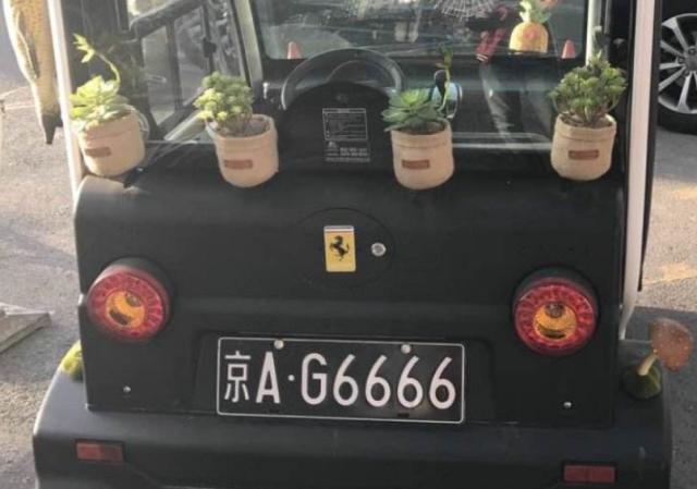 连号车牌常见吗,连号车牌照是随机的吗