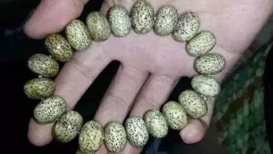 星月菩提品相一般大值得盘吗,星月菩提盘玩终极品相