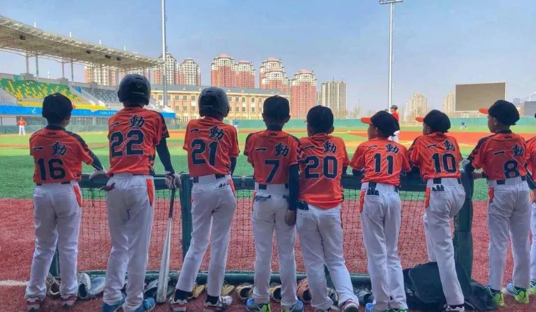 你好，请收下这份12月看片不踩雷指南