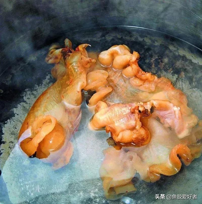 花胶怎么挑选公母,公花胶和母花胶怎样分别