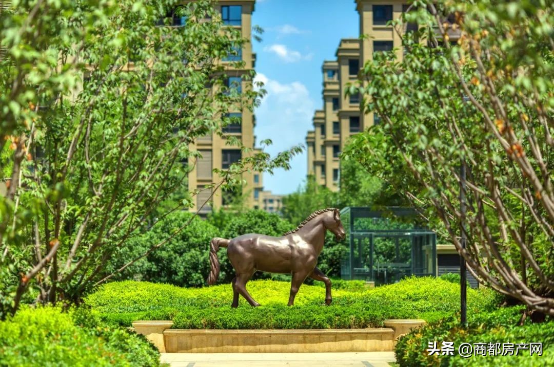 近20年，干3件事，正弘北区之路，初心未改