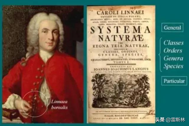 成为黄种人的优势,成为黄种人的历史
