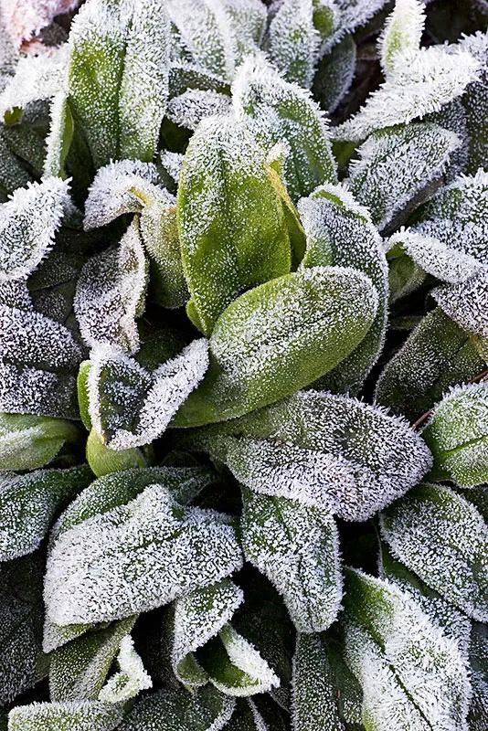 物态变化与凝华现象,凝华升华六种物态的变化过程
