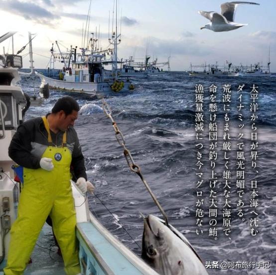 去日本才能吃过瘾的岛国本土食材，至少有8种便宜了游客