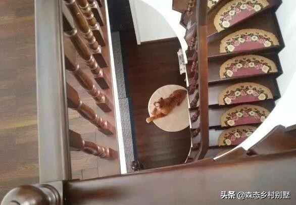 农村土豪花100多万造小别墅,浙江富人回乡建别墅