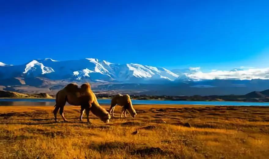 这些中国之最你知道吗,中国之最全部视频