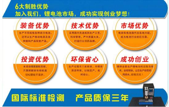 绿威电池加盟,临沂绿威锂电池