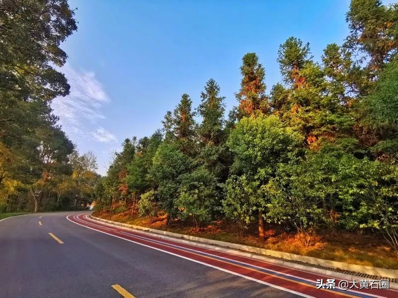 湖北有哪些县市风景最好,湖北有什么山水风景