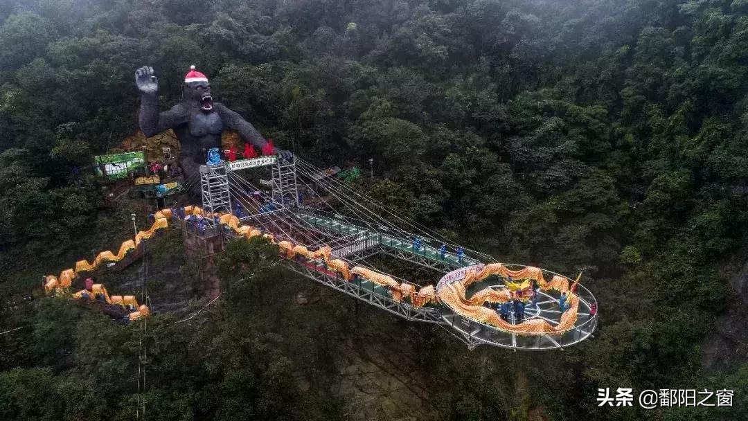 甯備簳椋庢儏杩樻槸甯備簳椋庡厜,甯備簳姘旀伅椋庢櫙