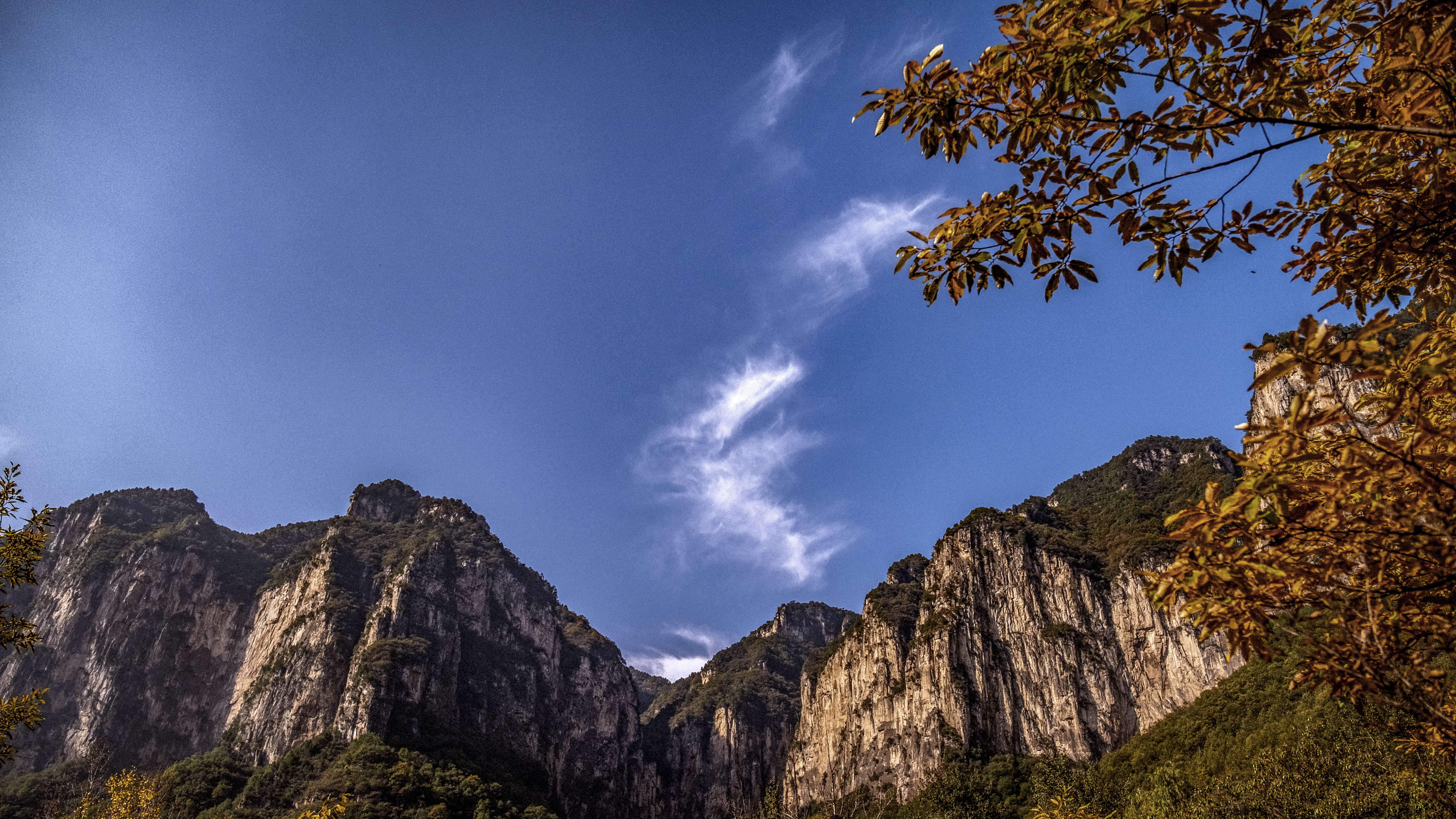 秋色美景落雨图片,秋色美景绝色大图