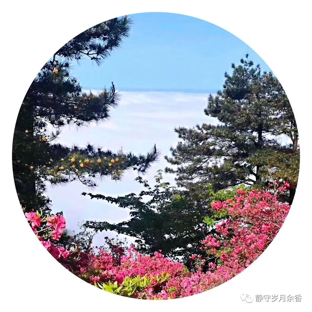 情满龟峰·诗涌花海