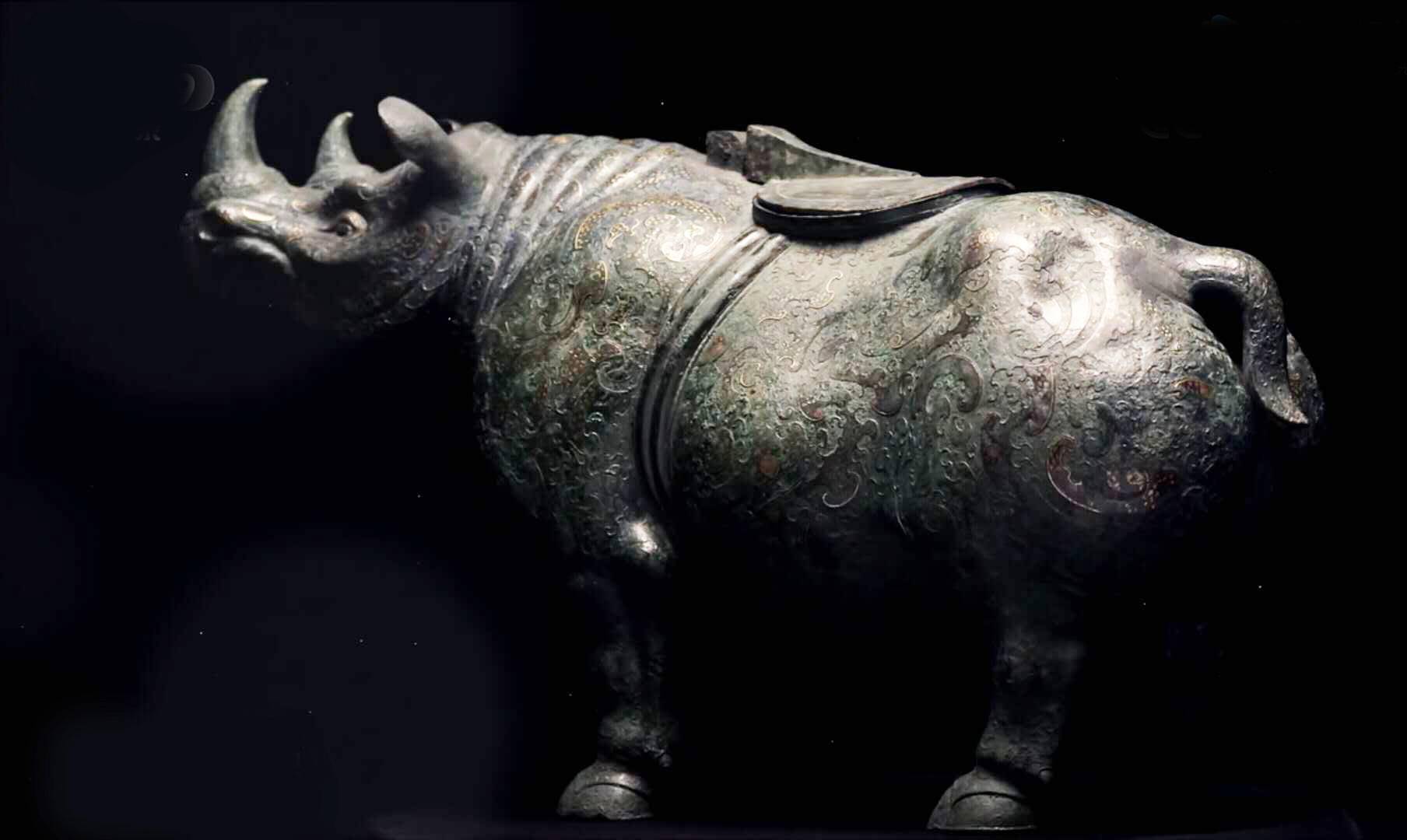 为了满足人类“壮阳”需求，它们濒临灭绝，人类却一点都没长进