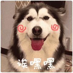 带你了解路亚,带你了解阿勒泰