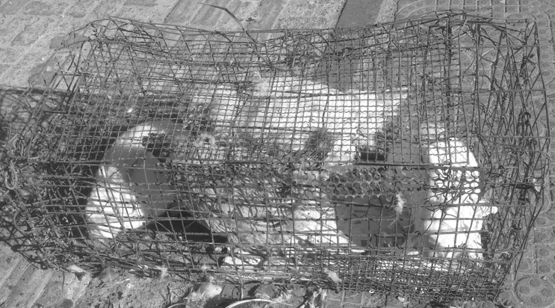 从零开始学小学数学,小学数学应该学什么怎么学