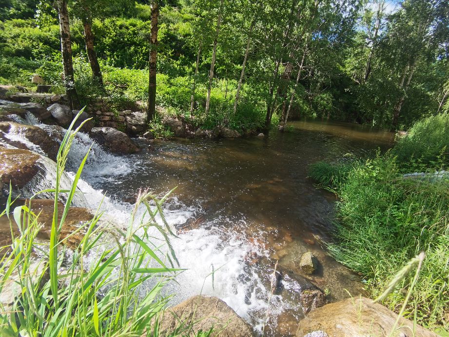 驼梁一日游日记,五台县南驼梁游记