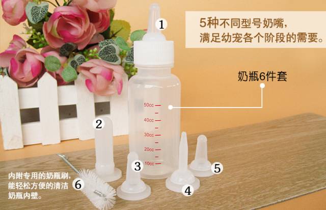 宠物猫如何照顾新生的小奶猫,没断脐带的小奶猫怎么照顾