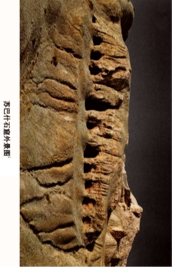 龟兹一曲天下知，回雪飘摇转蓬舞，谁人知是汉儿郎