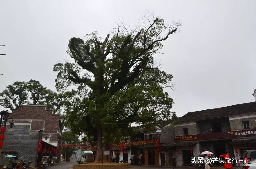 江西千古第一村,江西抚州乐安流坑千古第一村