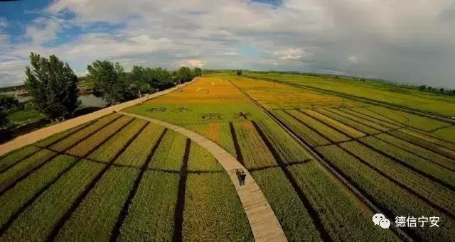 农业农村部、财政部公布！宁安成为首批20个国家现代农业产业园之一