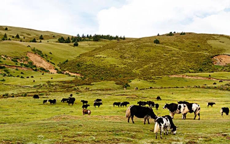 矿山风云评书大全,矿山风云录第一部