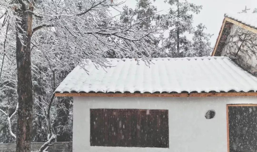 80后夫妻住山,80后两口子隐居大山