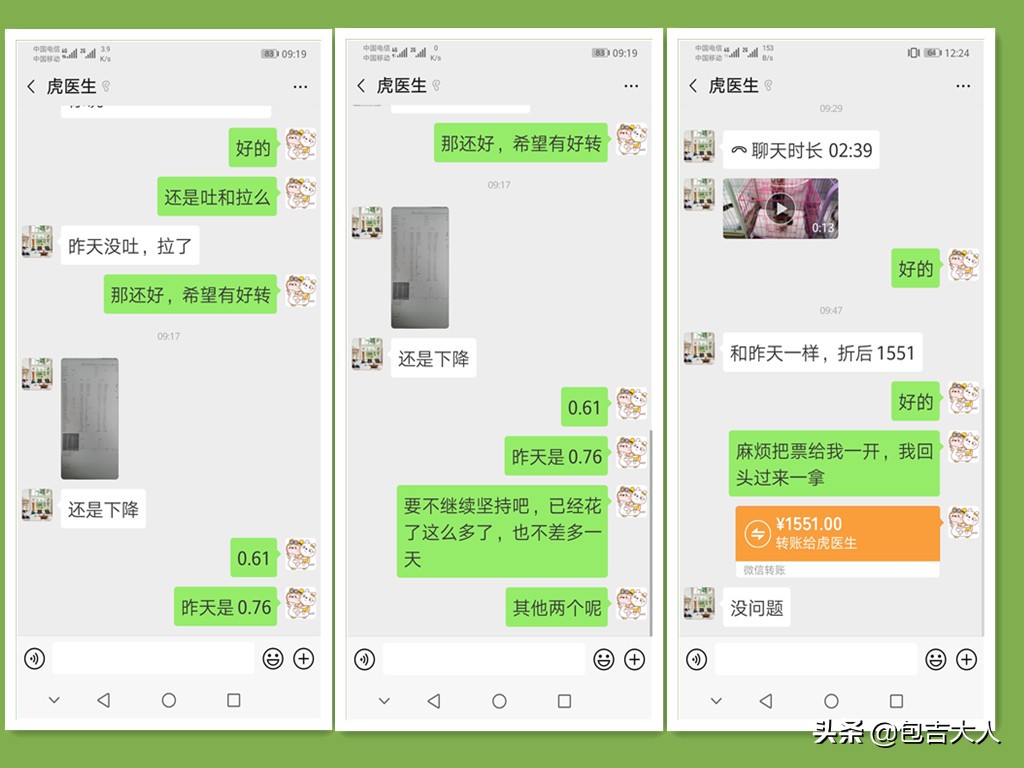 万字长文,分享自己养猫的真实经验,只愿每一只毛孩都能获得善待