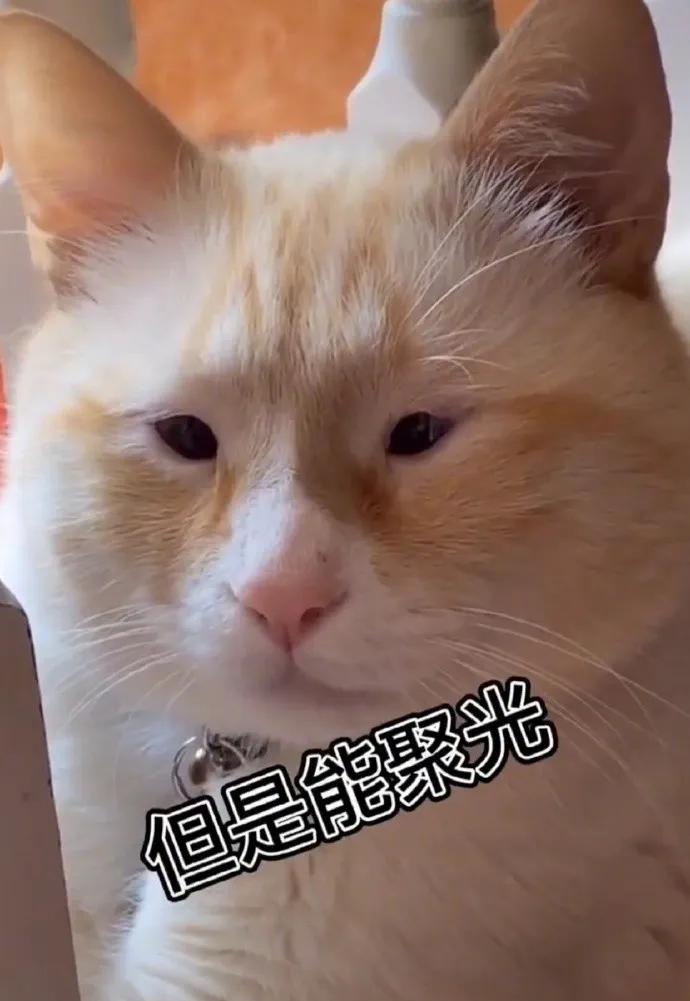 邻居门上有狮子我家有什么影响,邻居门口放了一对小狮子