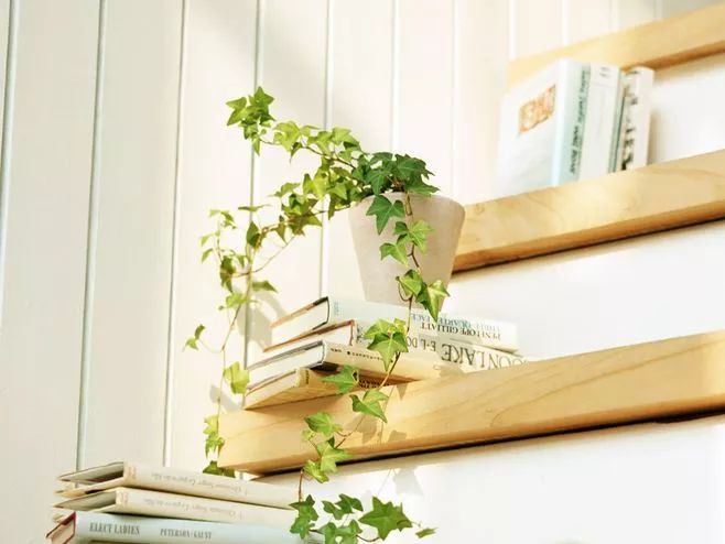 英语口语nevergiveup,英语口语千万不要这么说