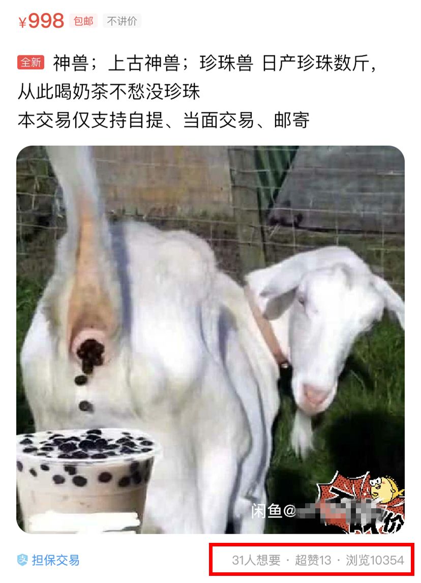 闲鱼上卖的神兽,闲鱼卖各种奇葩物品