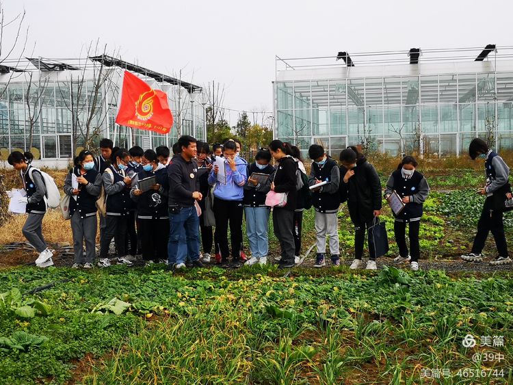 体耕读文化彰劳动之美——记合肥三十九中劳动研学活动