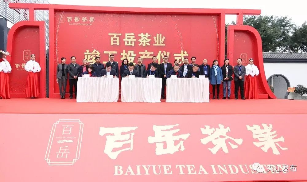 “百岳”来了！全国第一条立体布局出口绿茶生产线在夹江投产