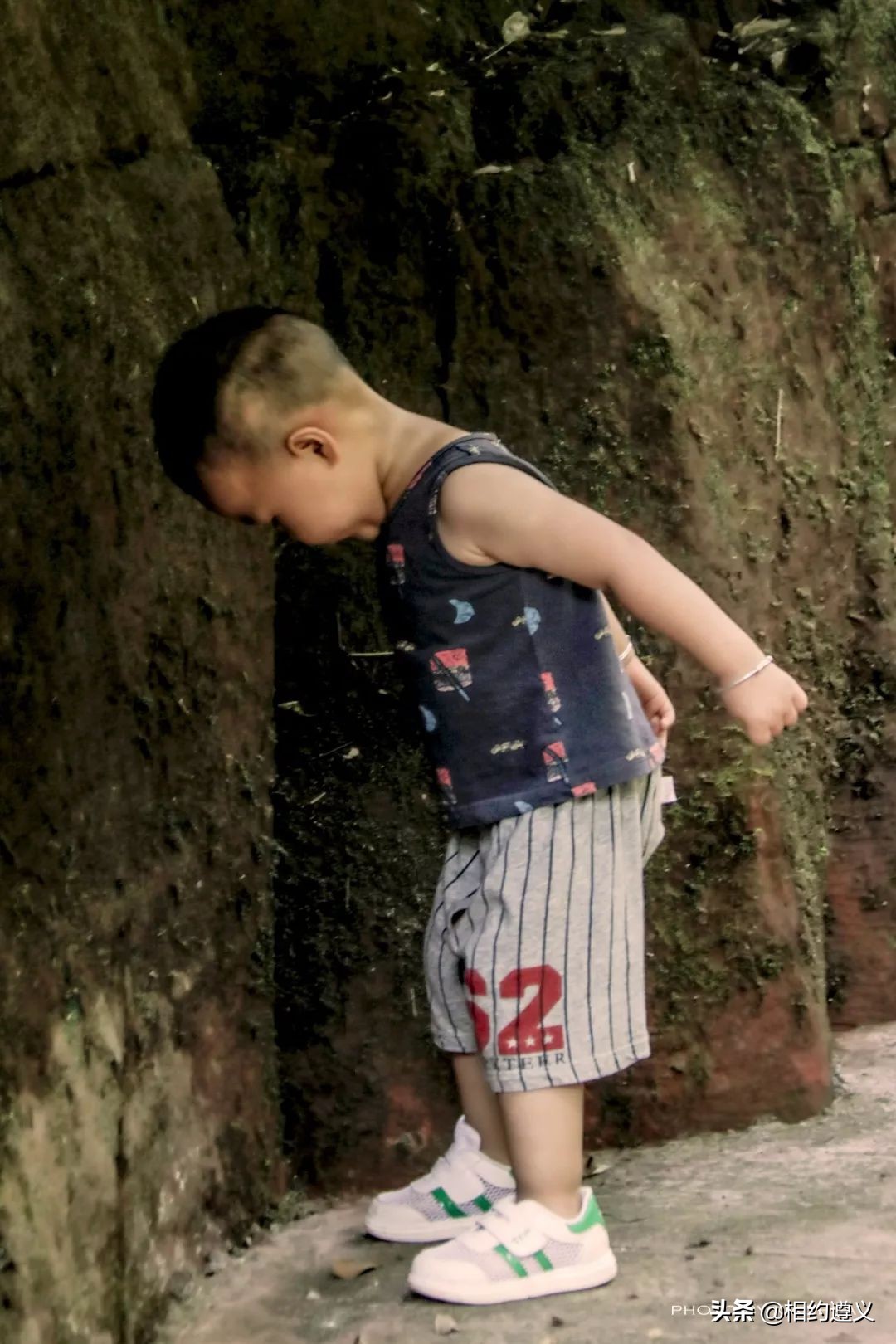 赤水大瀑布 侏罗纪公园 (贵州赤水侏罗纪公园攻略)