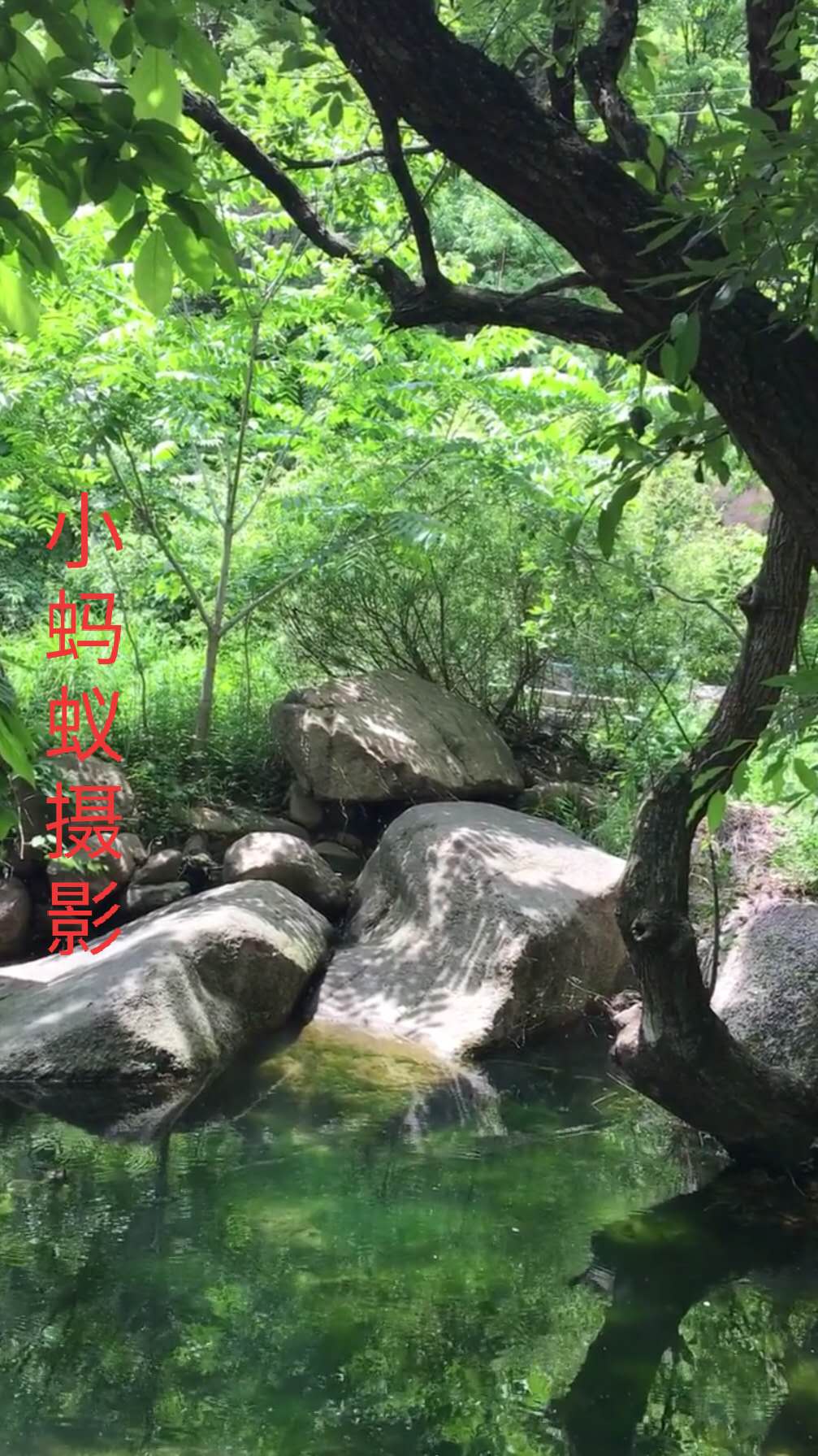 鲁山画眉谷郏县旅游景点推荐,平顶山鲁山风景区旅游攻略