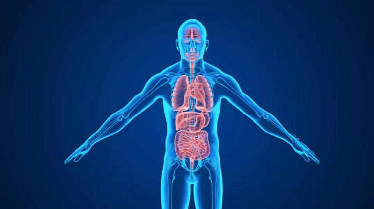 清肠效果不好的原因,排毒清肠骗局是真的吗