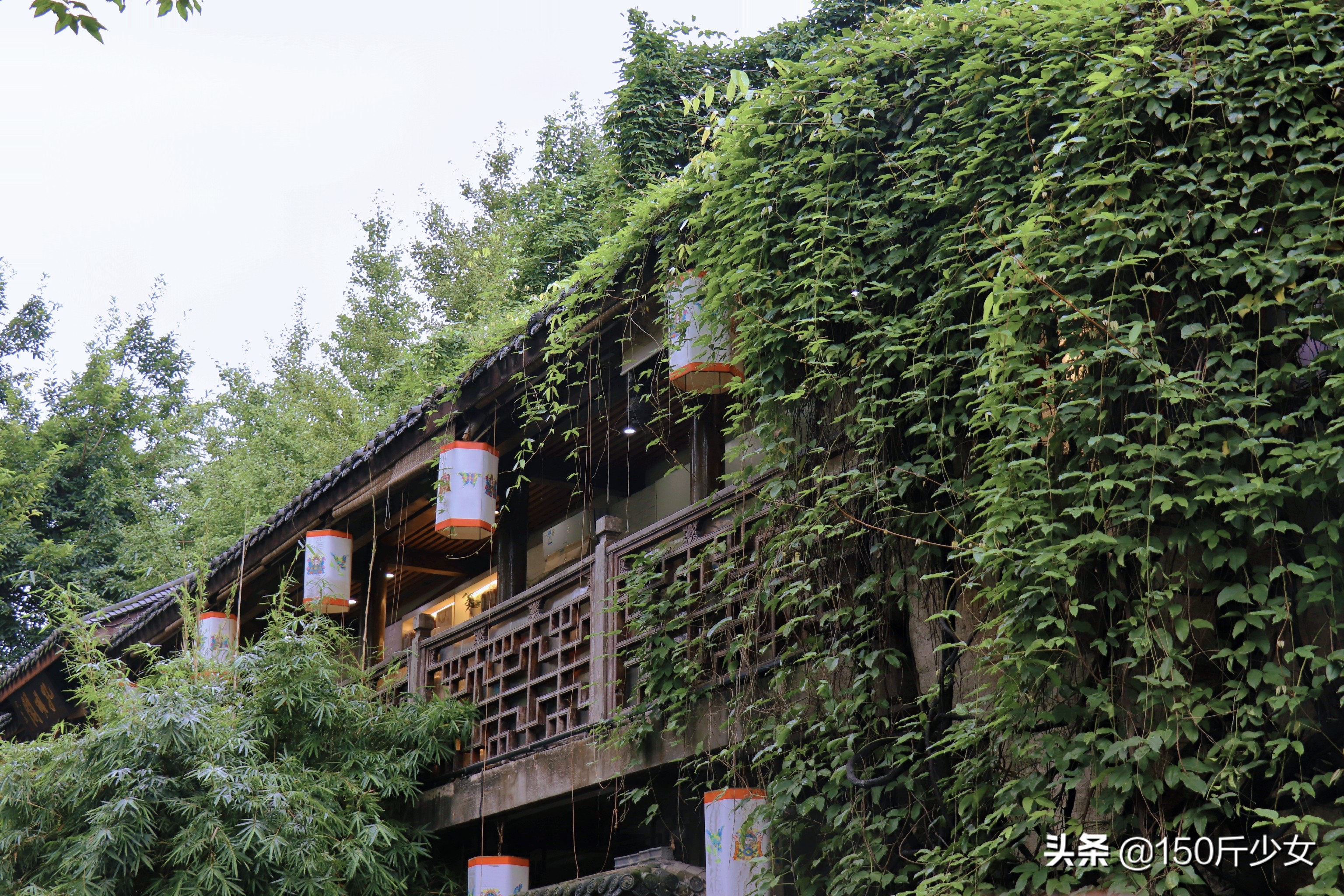 成都美食打卡全攻略,美食攻略吃货必备成都